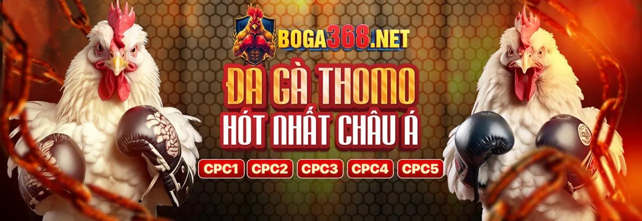 Đá gà kịch tính tại n666 Nổ Hũ